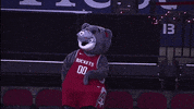Houston Rockets Dancing GIF by NBA