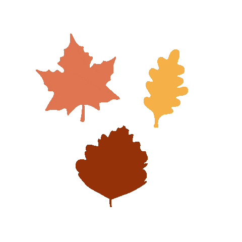 Autumn Leaves Fall Sticker