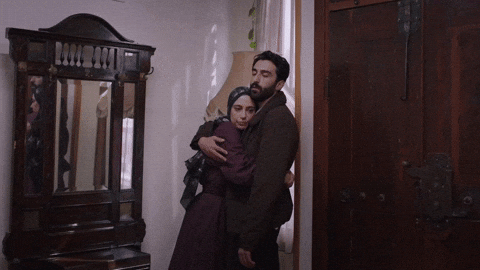 Kızılcık Şerbeti GIF by Show TV