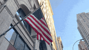 GIF by New York University