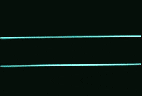 computer missing GIF