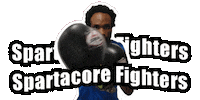 Boxing Fighters Sticker by Spartacore
