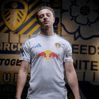 Premier League Lufc GIF by Leeds United
