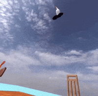 Goose Helicopter GIF