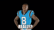 Come On Reaction GIF by Carolina Panthers