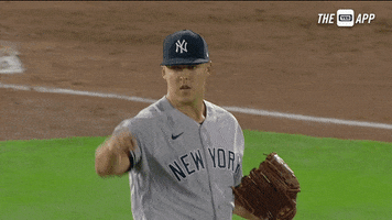 Happy New York GIF by YES Network