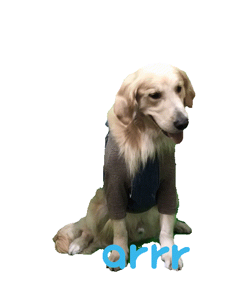 아르르 Sticker by arrr_official
