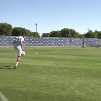 lavbyeweek GIF by LA Galaxy