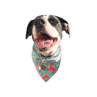 Boo Dinosaurs Sticker by Geekster Pets