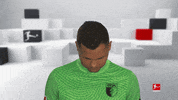 Line Up Smile GIF by Bundesliga