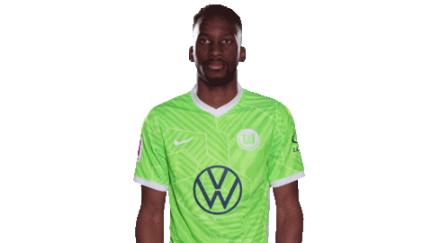 Check This Out Look Here Sticker by VfL Wolfsburg