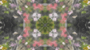 Art Film GIF by jorgemariozuleta