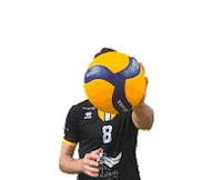 Prvball logo hibou prvb rebeyrol Sticker