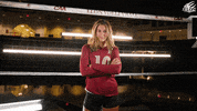 College Athletics Ncaa GIF by Elon Phoenix