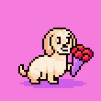 Dog Love GIF by Abstract HotDogs