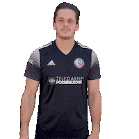 Football Soccer Sticker by Fortuna Liga