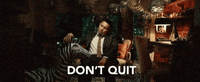p_lo animal zebra precious bamboo GIF