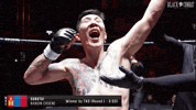블랙컴뱃 GIF
