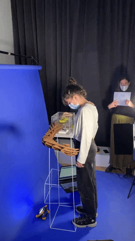 marinalermant giphyupload GIF