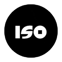 In Search Of Iso Sticker by Pins Break the Internet