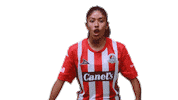 San Luis Soccer Sticker by Atlético de San Luis