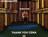 Wwe Champion GIF