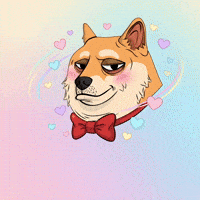 In Love Hearts GIF by Doge Pound