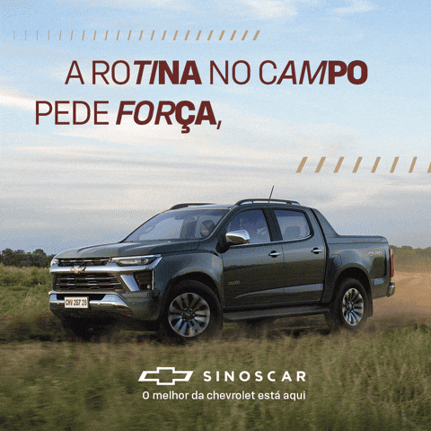 Picapeiros GIF by Sinoscarrs