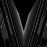 black and white loop GIF by Pi-Slices