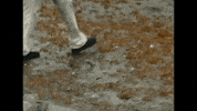 Fashion Raining GIF by aldn