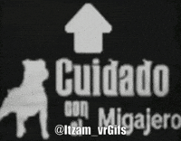 Cuidado Con El Perro Migajas GIF