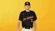 Cal State La Sport GIF by Cal State LA Golden Eagles