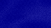 Scammers GIF by Jeopardy!
