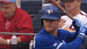 Blue Jays Baseball GIF by Toronto Blue Jays