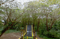 Survivorau GIF by Australian Survivor