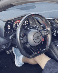Rev R8 GIF