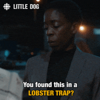 dog comedy GIF by CBC