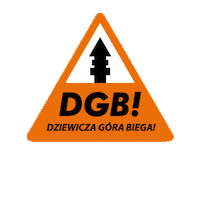 Runner Biegacz Sticker by Natural Born Runners