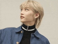 Stray Kids Skz GIF