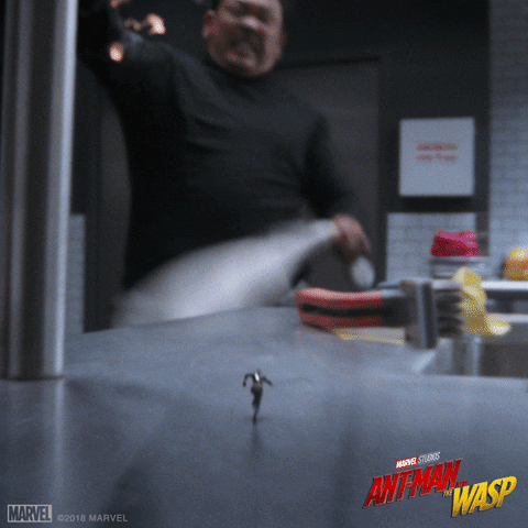 GIF by Marvel Studios