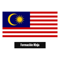 Malaysia Flag Sticker by Formación Ninja