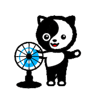 Black And White Cat Sticker