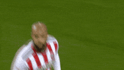 Sheffield United Soccer GIF by Sheffield United Football Club