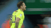 Sheffield United Soccer GIF by Sheffield United Football Club