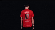 Niittarit GIF by LNM Salibandy