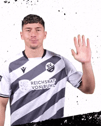 3Liga Wirechtanders GIF by SV Sandhausen