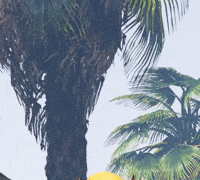 DarstarEddy lopez vanoss vanossgaming georgelopez GIF
