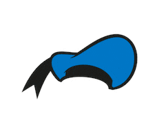 Donald Duck Fashion Sticker by Disney Europe