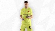 Football Sport GIF by SK Slavia Praha
