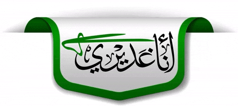 Imam Ali GIF